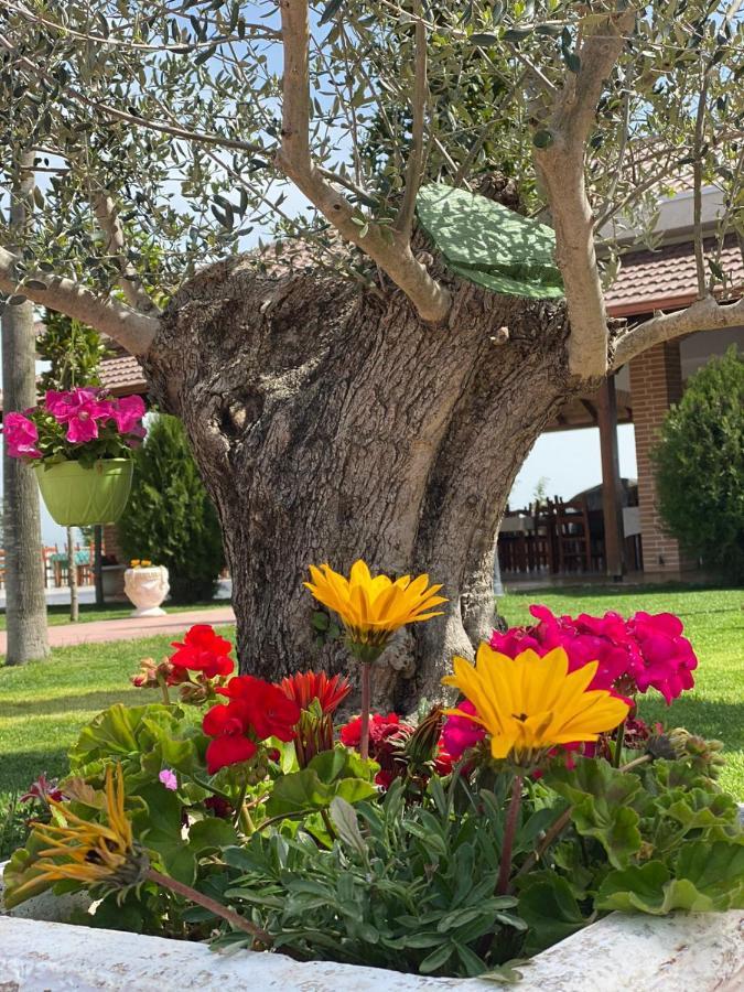 Ardenica Boutique Hotel Lushnje Bagian luar foto